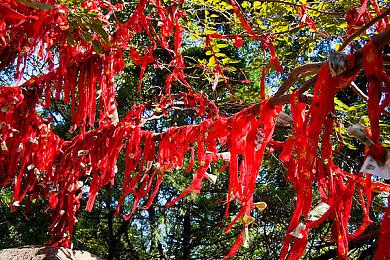 可以捏脸！《怪物猎人物语3：命运双龙》角色编辑演示PV发布