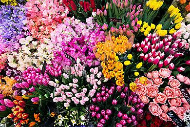 科目二的终极考验！疯狂赛车游戏《狂野泊车》将于9月15日首次亮相，首日即在Game Pass推出